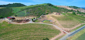  Sirena Vineyard Resort - 3 Bedroom guest house  Paso Robles